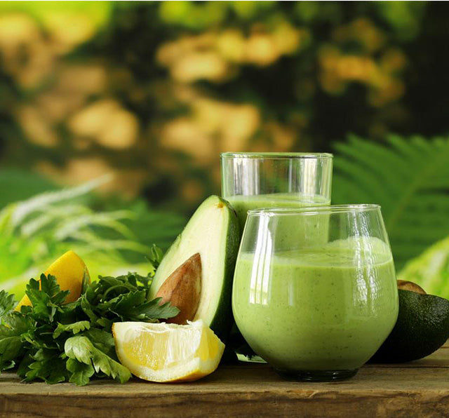 Big Size Feeding Slow Juicer SJ300V