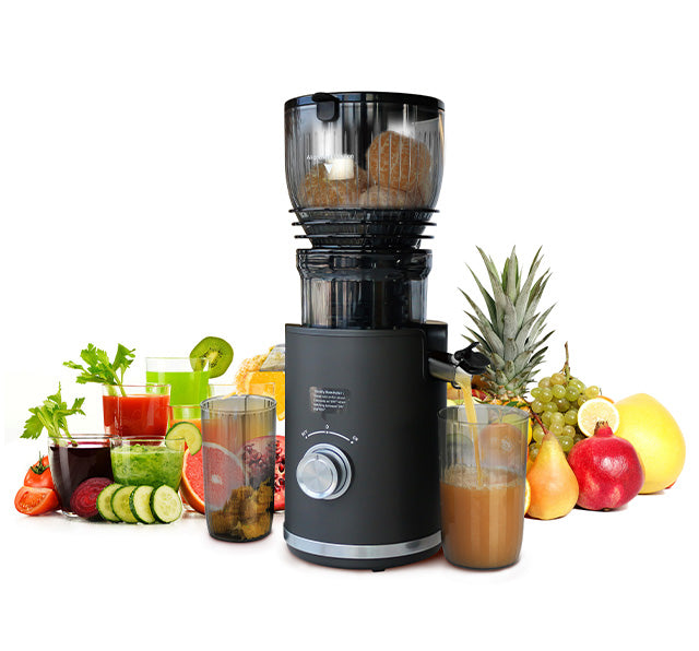 Big Size Feeding Slow Juicer SJ300V