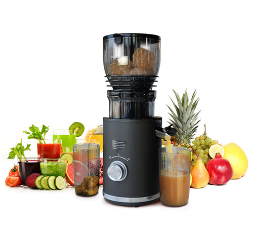 Big Size Feeding Slow Juicer SJ300V