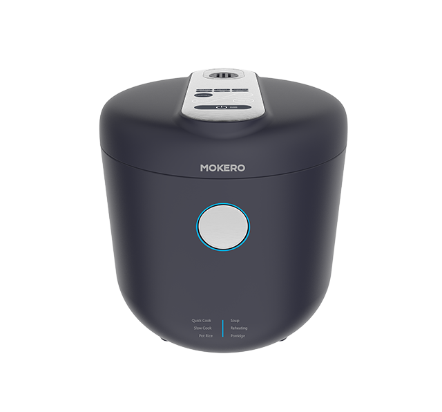 RC100B20-L01