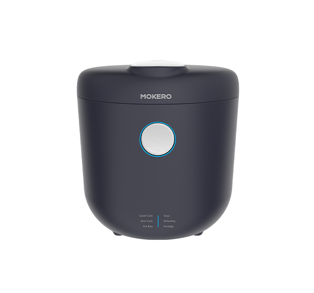 RC100B20-L01