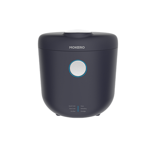 RC100B20-L01