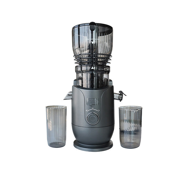 Large-sized Feeding Slow Juicer SJ300P
