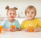 Big Size Feeding Slow Juicer SJ300V