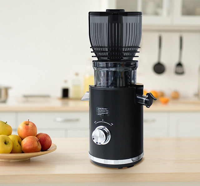 Big Size Feeding Slow Juicer SJ300V